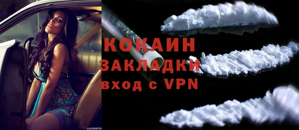 прущие грибы Новокубанск