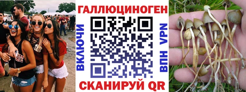 Галлюциногенные грибы Magic Shrooms  Олонец 